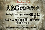 Baroness - stylized baroque font, a Symbol Font by Ekaterina Glazkova (Thumbnail 2 of 10)