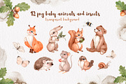 Watercolor Forest Animals set, an Animal Illustration by Alamella (Thumbnail 8 of 12)