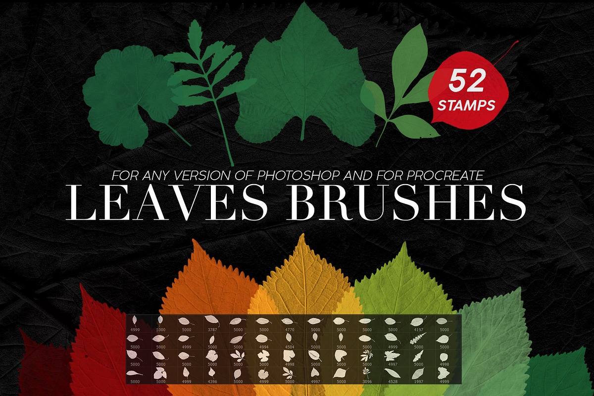 Leaves Photoshop Stamp Brushes, a Brush Add-On by ArtistMef (Photo 1 of 7)
