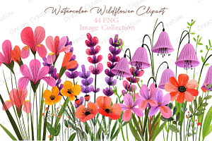 Watercolor Wildflower Clipart, an Illustration by Dream Creation