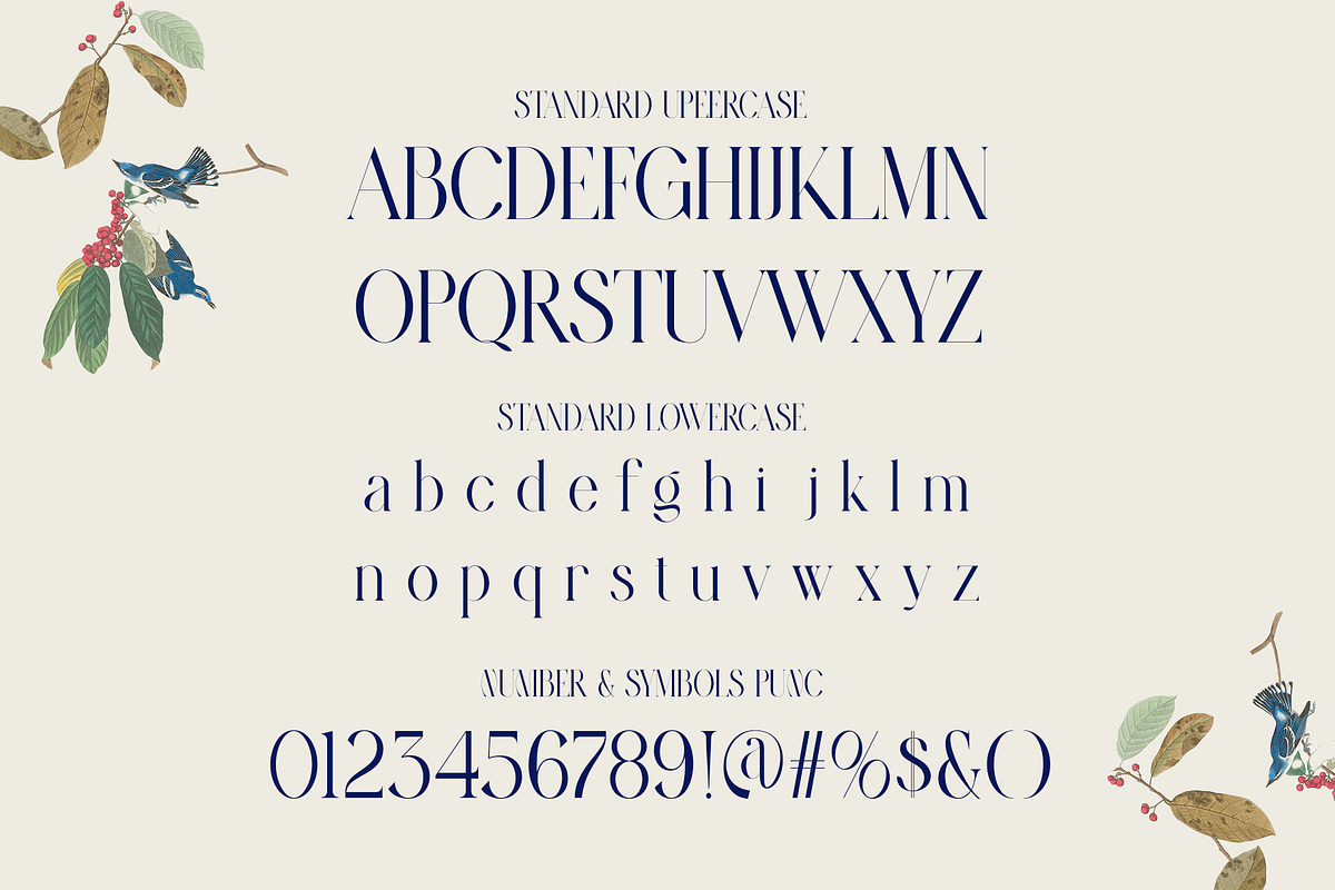 Magira Modern Elegant Serif Font, a Serif Font by Alfinart (Photo 10 of 10)