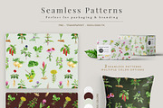 Medicinal Herbs Watercolor Clipart, a Healthcare Illustration by AnitaPol (Thumbnail 6 of 11)