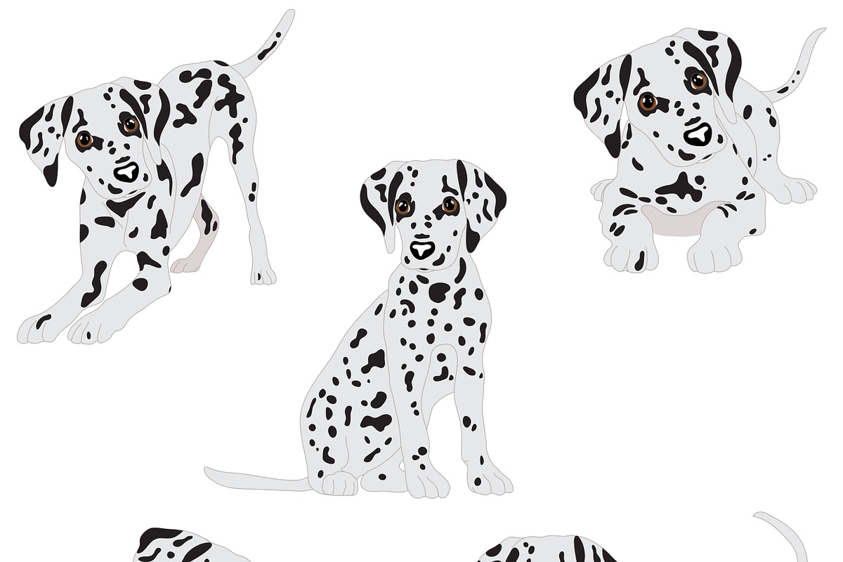 Dalmatian, an Animal Illustration by Orangepencil (Photo 7 of 7)