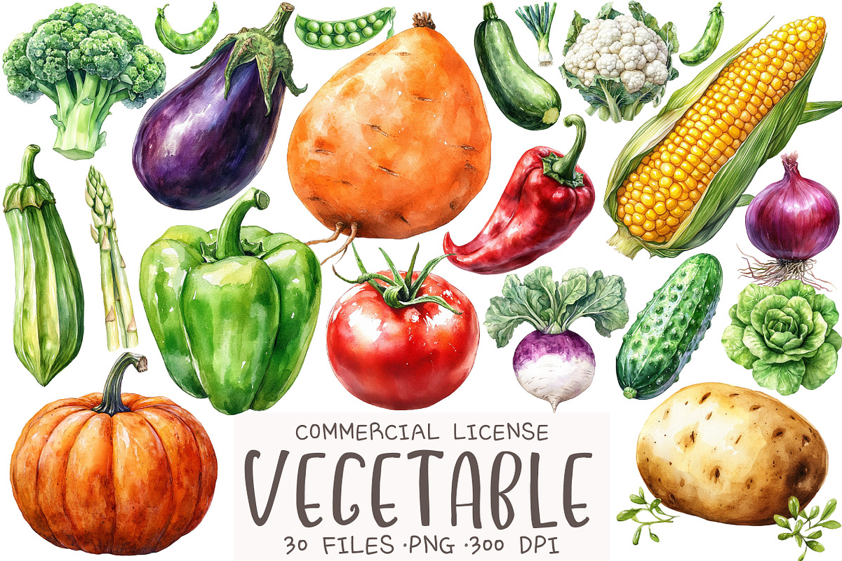 Vegetable Watercolor Clipart, an Illustration by OK Design (Photo 1 of 5)