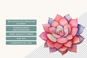 Watercolor Succulent Clipart Bundle