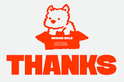 Megion - Bold Display Font, a Sans Serif Font by limitype (Thumbnail 10 of 10)