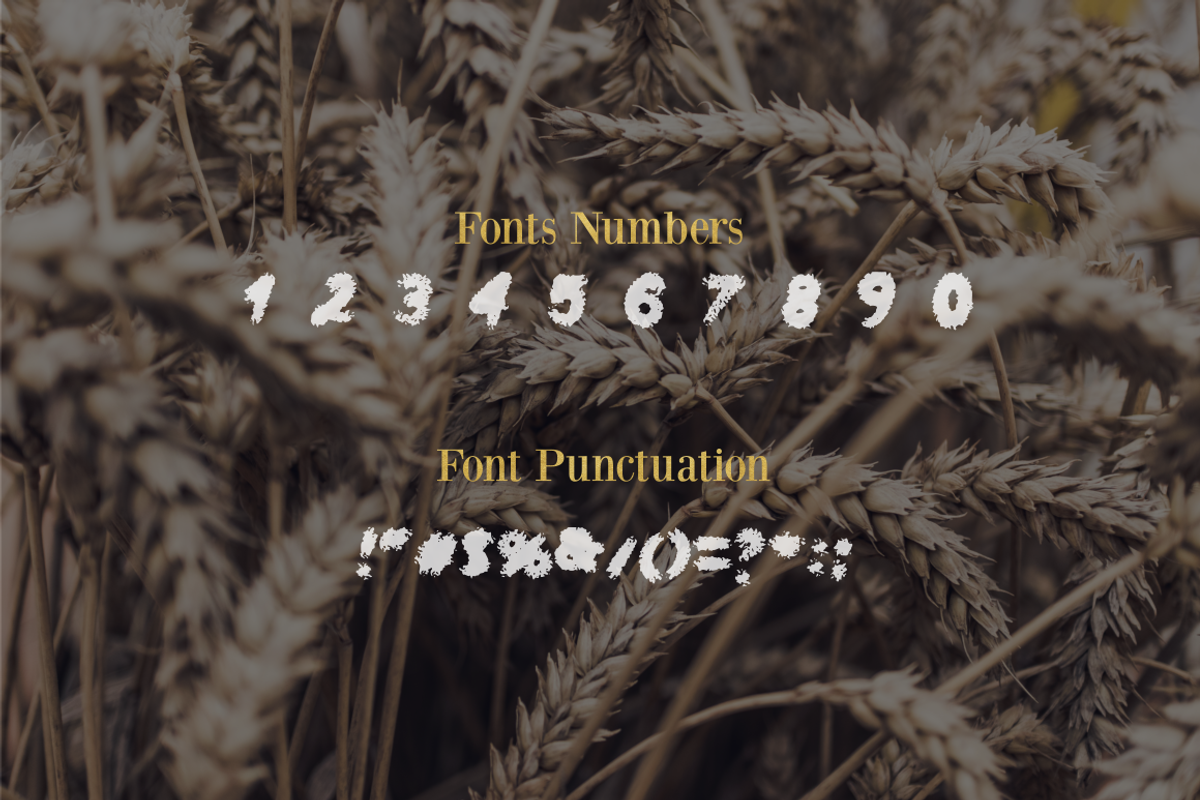 Willow Font - 50% Off preview 3