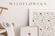 Wildflowers Watercolor Wild Botany, a Decorative Illustration by Kreker Kate (Thumbnail 3 of 11)