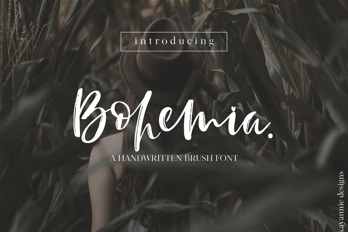 Bohemia | Brush Script