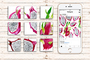 Summer basket! 12 patterns + 67 png, a Pattern Graphic by holaholga (Thumbnail 15 of 15)