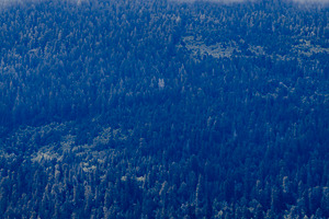 Cloud Covered Hills Near Orick, a Nature Photo by Jillian Butolph