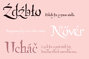 Qartagrafy, a Font by invisiblelayer (Thumbnail 8 of 11)