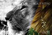 Majestic: Black + White PS Actions, an Action Add-On by Heart + Soul Studios (Thumbnail 11 of 15)
