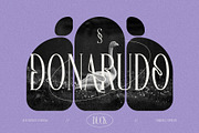 Cherola Typeface, a Serif Font by alit design (Thumbnail 11 of 15)