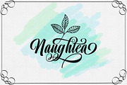 Unimate Script, a Script Font by Astageni (Thumbnail 7 of 9)