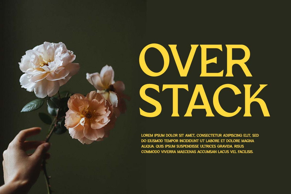 Retro Groove Retro Serif Font, a Serif Font by UICreative (Photo 2 of 13)