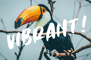 Trusto - Handwritten Font, a Font by MOCOSANS (Thumbnail 2 of 5)