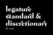 Pervinca Family, a Serif Font by Hederae Type Foundry (Thumbnail 3 of 18)