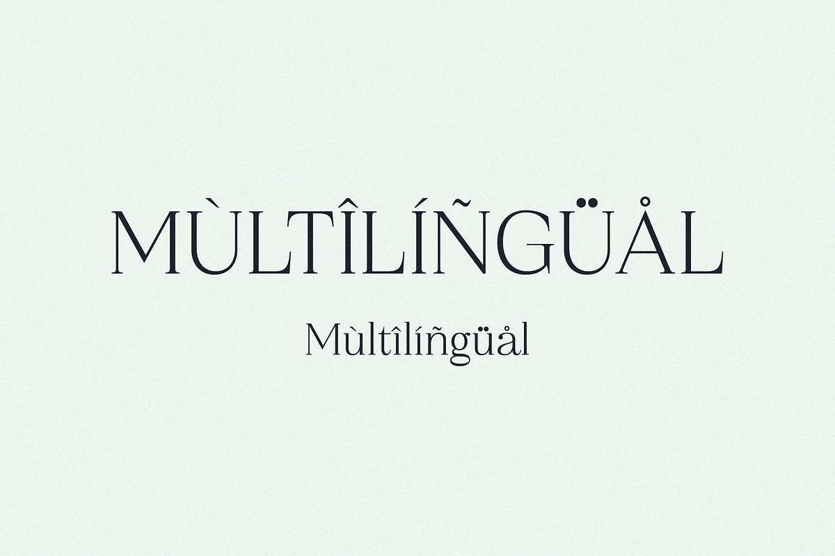 Qestrafin Modern Serif Font, a Serif Font by Letterena Studios (Photo 12 of 15)