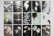 Dark Romance - Visual Archive, an Object Graphic by Natali Batu (Thumbnail 8 of 13)