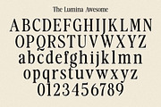The Lumina Awesome, a Serif Font by Zane Studio (Thumbnail 11 of 12)