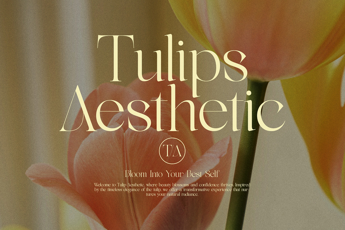 Nikolas Modern Serif Font, a Serif Font by Graphicxell (Photo 8 of 8)