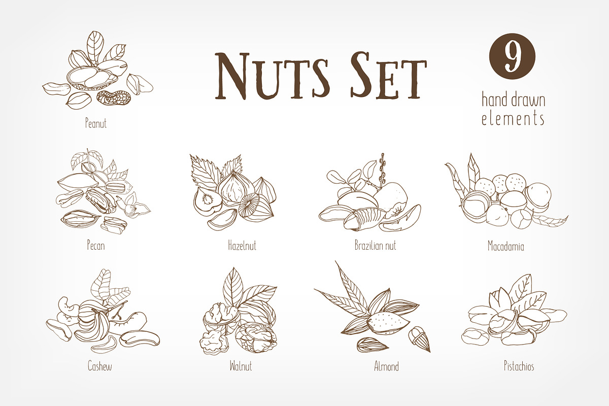 Nuts set + seamless patterns, a Food Illustration by Good Studio (Photo 2 of 8)