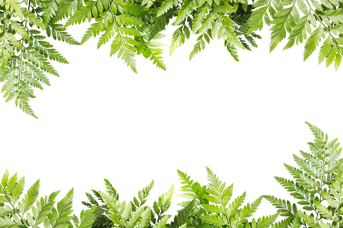 Nature border featuring background, botanical, and botany, an Arts & Entertainment Photo by rakoptonLPN (Photo 1 of 4)