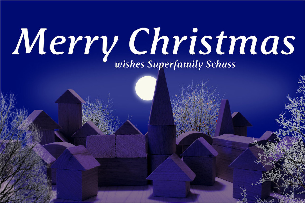 SchussSerifProMedIta No.38 (1 Font) preview 4