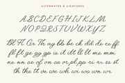 Jullina - Handwriting Script Font, a Script Font by Danielle Eneh (Thumbnail 6 of 13)