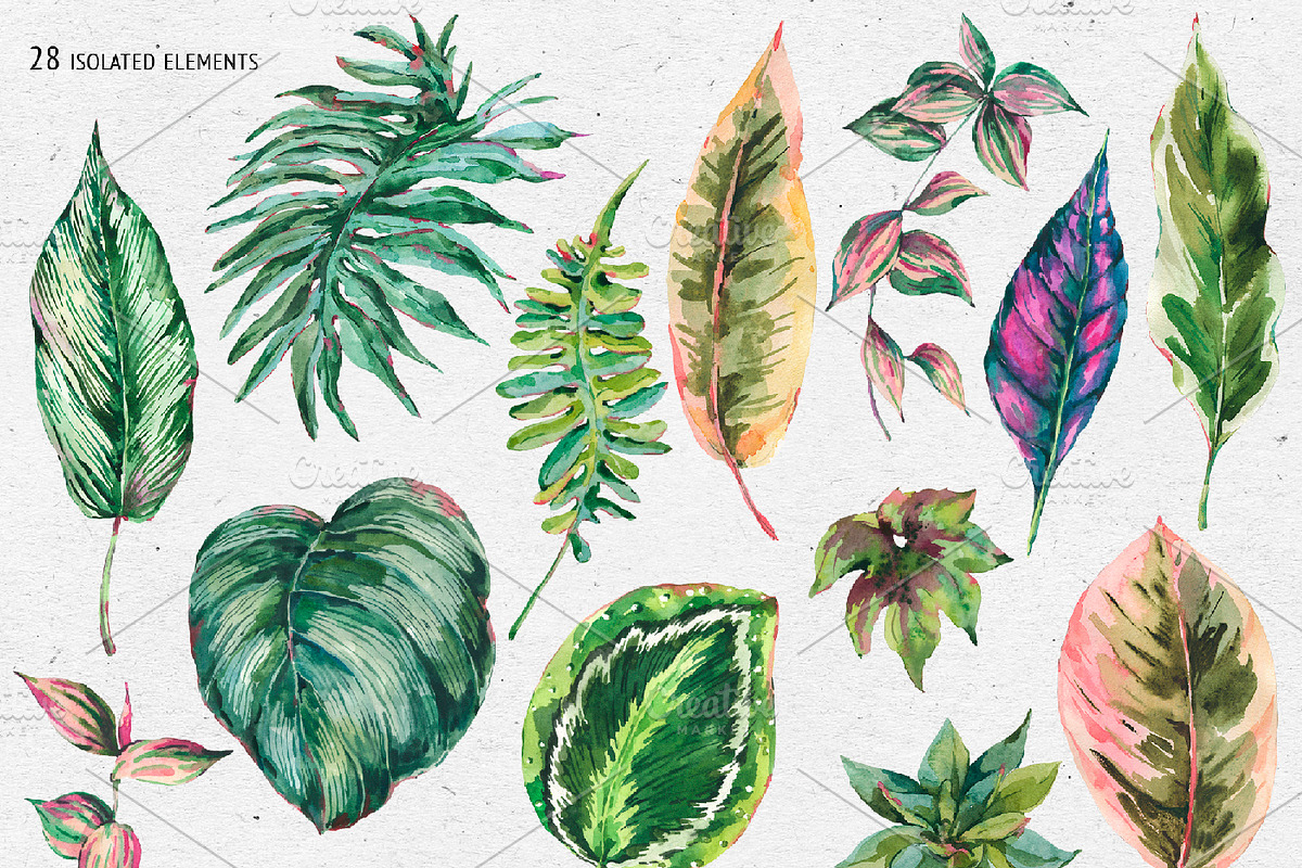 Tropical leaves graphic pack, an Illustration by Belusuab (Photo 3 of 16)