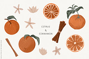 Sage Green Citrus Illustrations, an Object Illustration by Fire Spark Studio (Thumbnail 6 of 9)