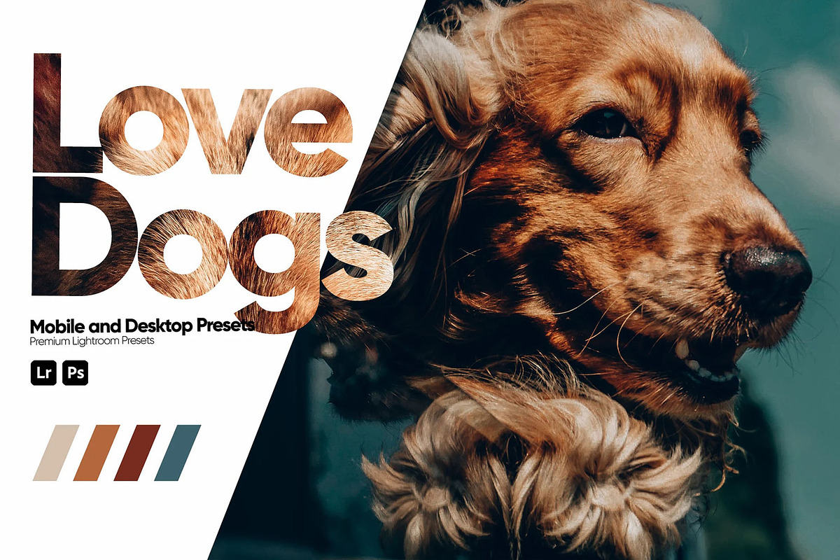 Love Dogs Presets for Lightroom, a Preset Add-On by Hubzway (Photo 1 of 5)