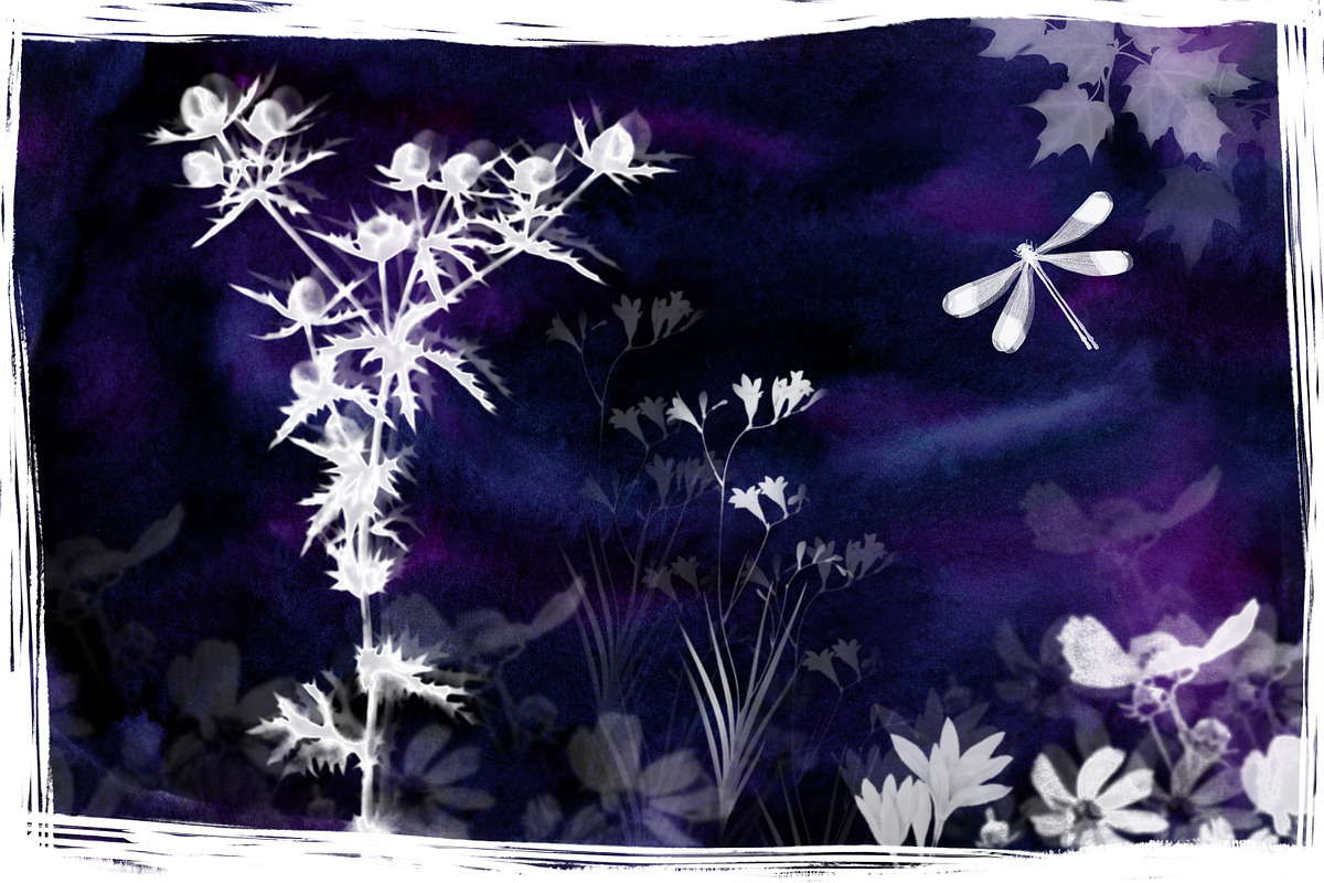 Sunprint Brushes Procreate/PS, a Brush Add-On by OlgaRom (Photo 7 of 8)