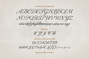 De Lesa Paquetts Classic Script Font, a Script Font by Maulana Creative (Thumbnail 4 of 7)