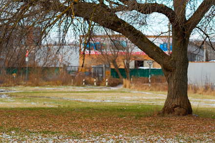 Right align tree in dormitory industrial area