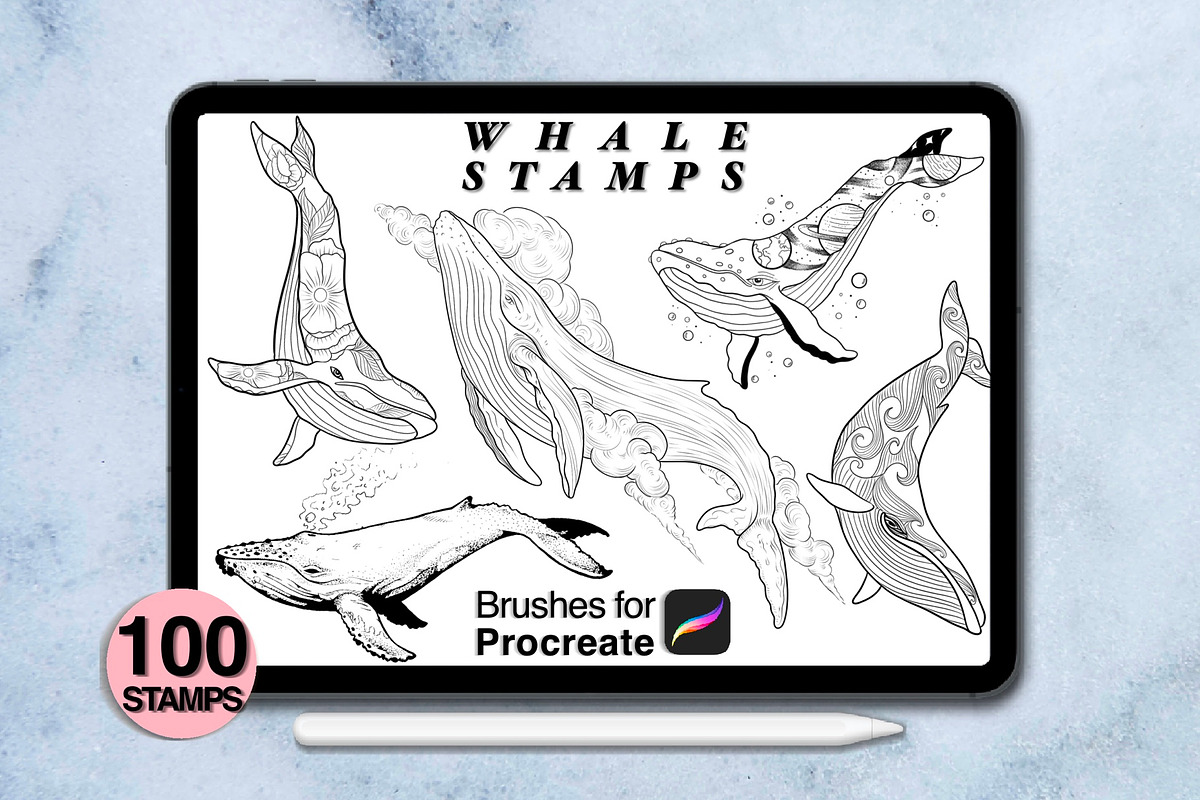 100 procreate whale stamps, a Brush Add-On by Arts For Peace (Photo 6 of 9)