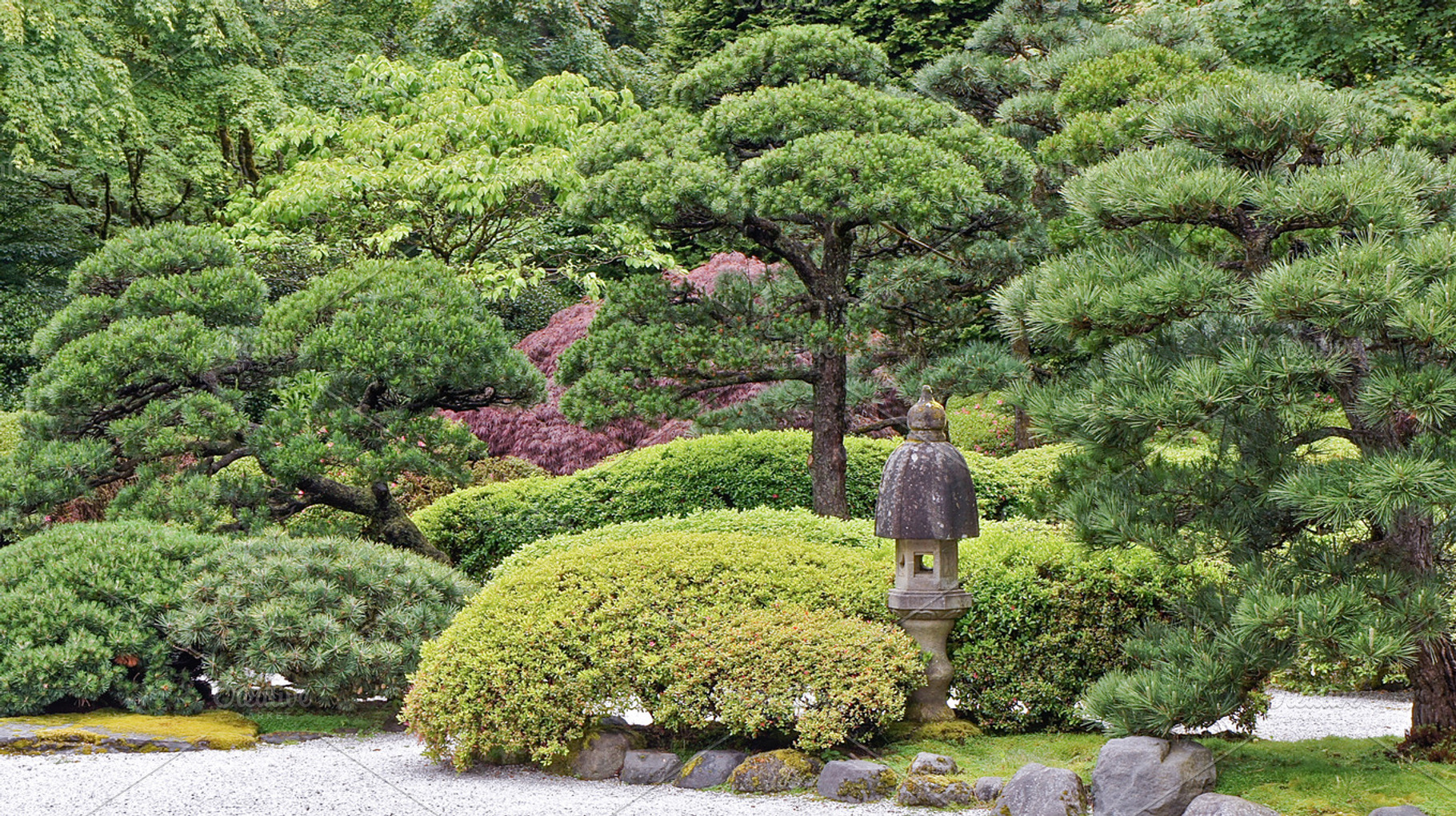 Bonsai Zen Garden Lantern