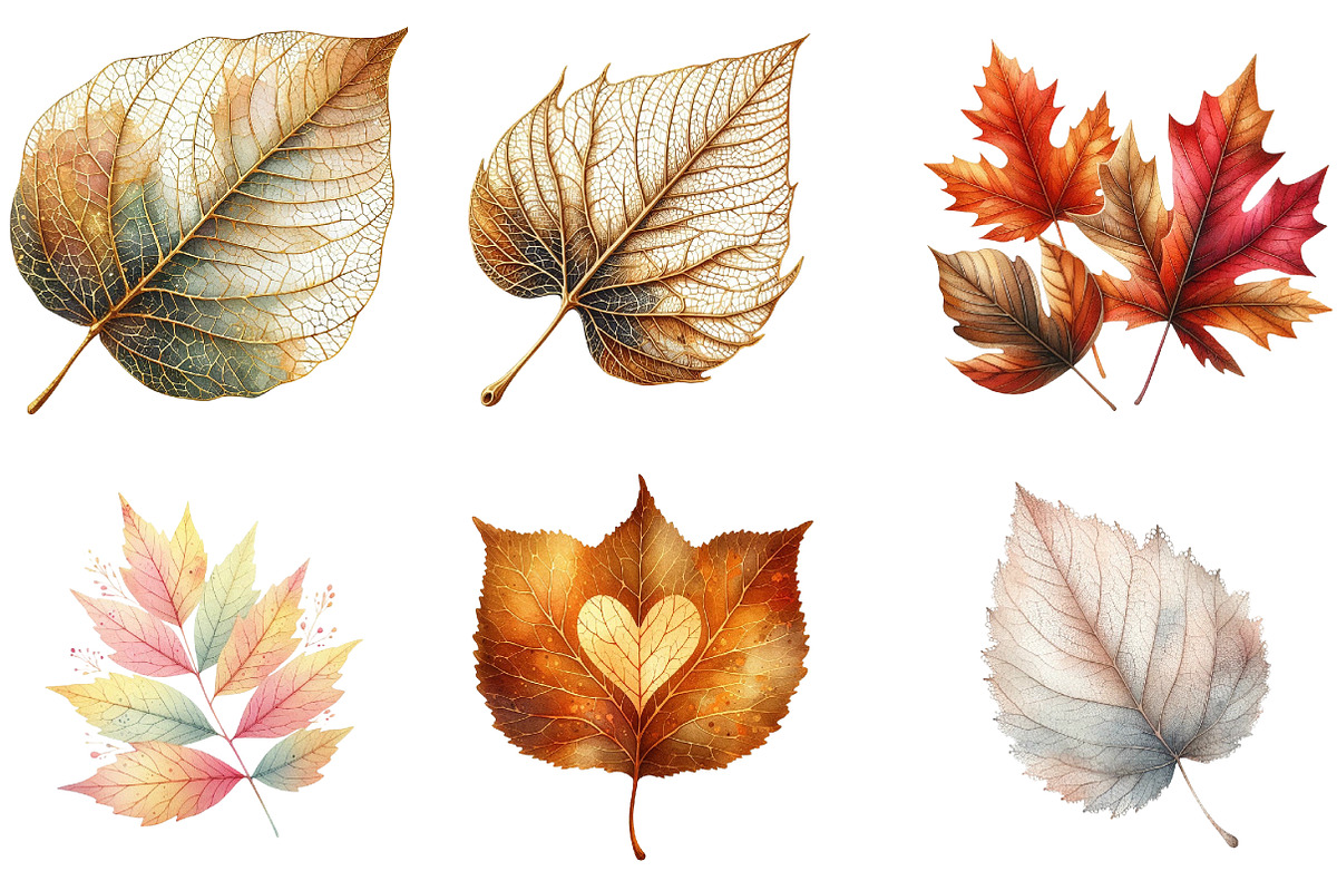 Watercolor Autumn Leaf Clipart, an Illustration by DreamArtGraphic (Photo 6 of 6)