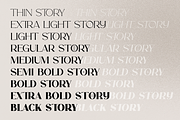 Story Type elegant typeface 18 fonts, a Serif Font by VP Fonts (Thumbnail 12 of 16)