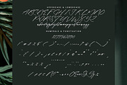 Bold Fade, a Script Font by Integritype Studio (Thumbnail 13 of 15)