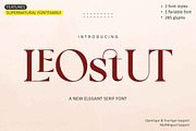 LeoStut, a Serif Font by studiobasic (Thumbnail 12 of 12)