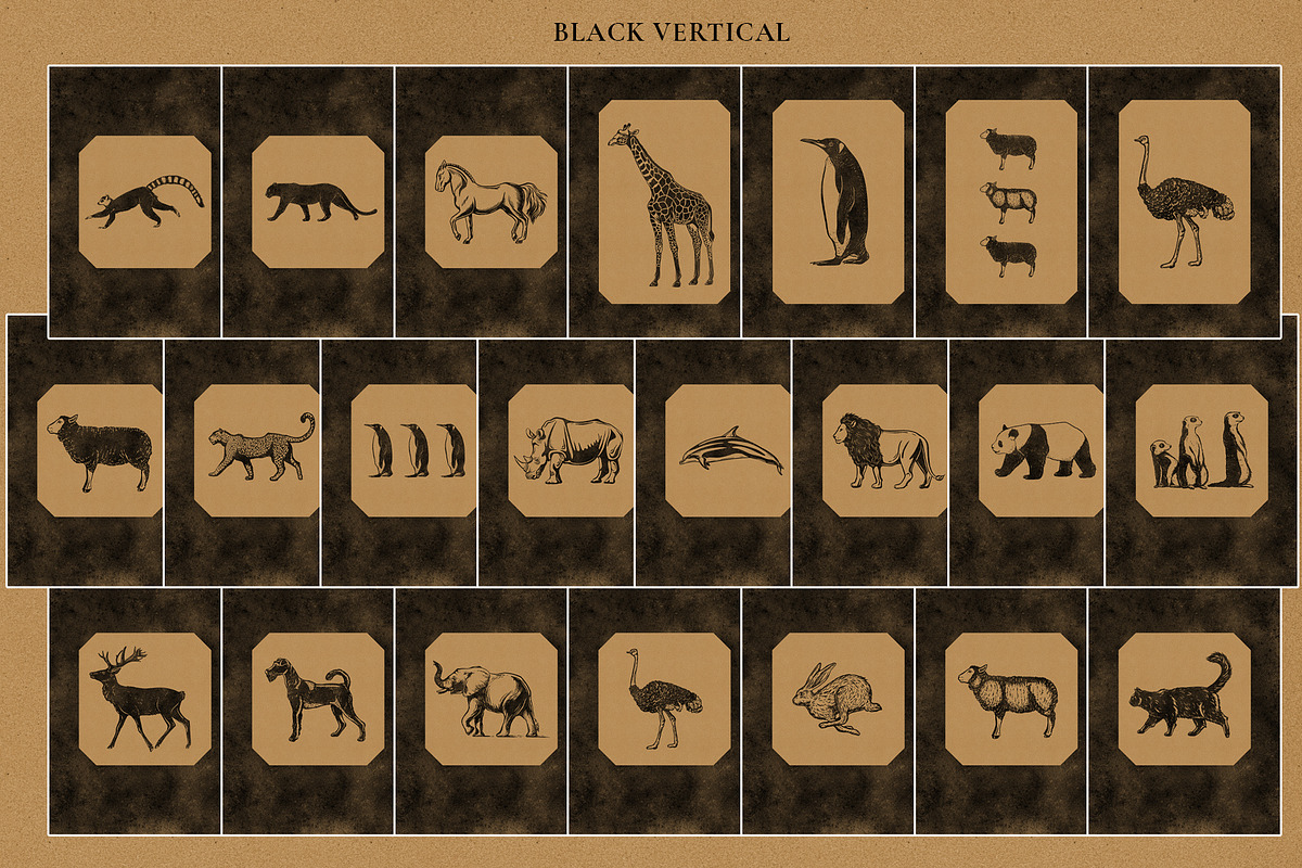 Colonial style Animals posters, an Animal Illustration by Garden in frame (Photo 7 of 11)