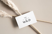 The Wild Studio Modern Logo Bundle, a Branding & Logo Template by Forth and Wild (Thumbnail 2 of 6)