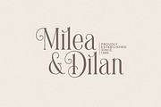 Brilliantly - A Stylish Serif, a Serif Font by Letterhend Studio (Thumbnail 9 of 12)