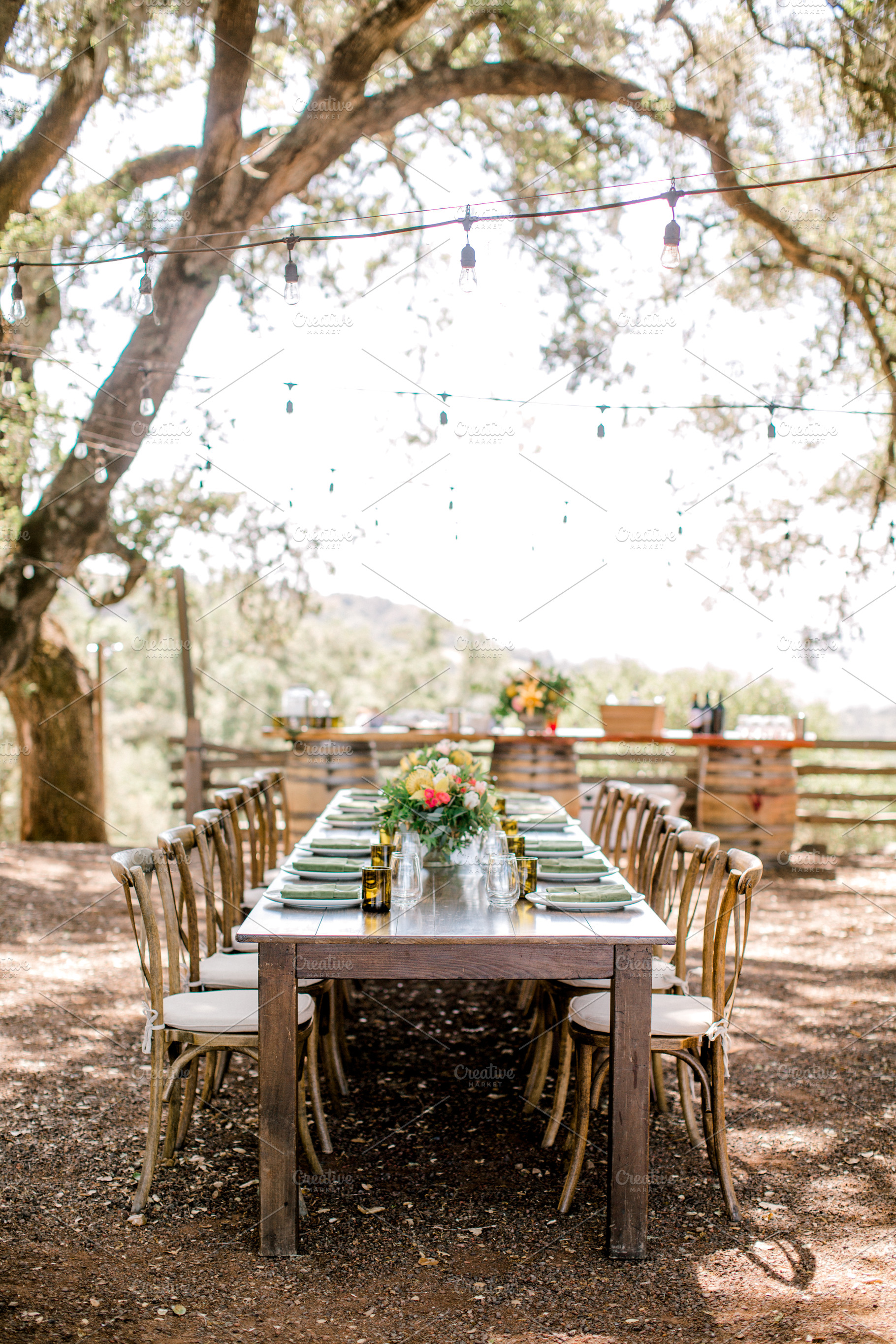 Outdoor table setting under trees, a Food & Drink Photo by S Hopkins Photo