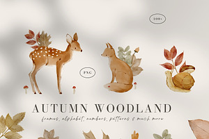 Woodland Watercolor Autumn Set, an Animal Illustration by Jenteva Art