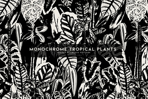 Monochrome Tropical Plants Vector