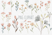 Watercolor clipart & Digital Paper, an Illustration by illuztrate (Thumbnail 2 of 6)