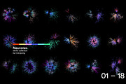 Neurones, a Healthcare Illustration by Colorpong (Thumbnail 2 of 10)